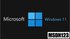 MSDN Windows11 64位简体中文原版ISO镜像下载