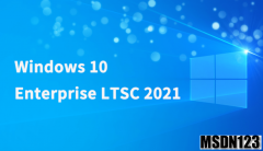 msdn win10操作系统下载-win10 LTSC 2021 x64企业版