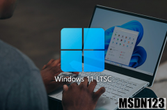 微软windows11官网下载-win11 LTSC 2024 x64企业版