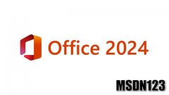 微软官方原版Office 2024 专业增强版（零售版）