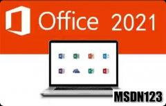 微软官方正式版Office 2021 专业增强版（零售版）