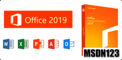 微软官方原版Office 2019 专业增强版（零售版）